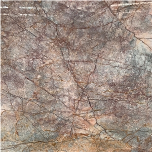 Elegant Red  Impression Versailles Marble Wall Tile