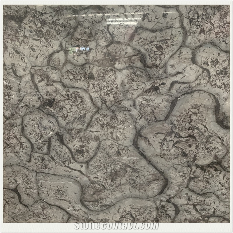 Factory Supplying Impression Brown Marble