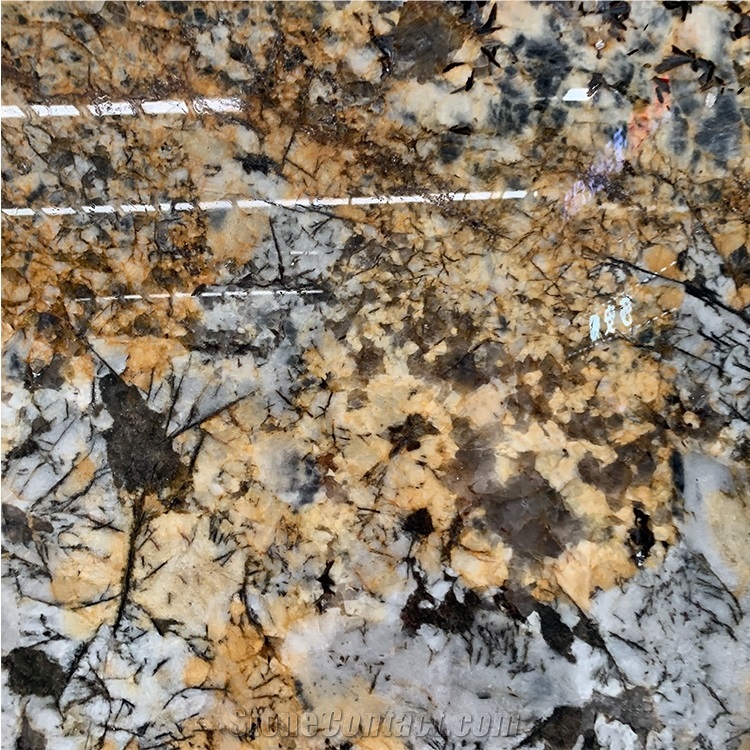 Luxury Stone Golden Butterfly Granite Slab For Wall