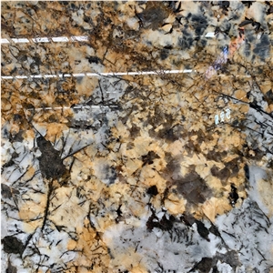 Luxury Stone Golden Butterfly Granite Slab For Wall
