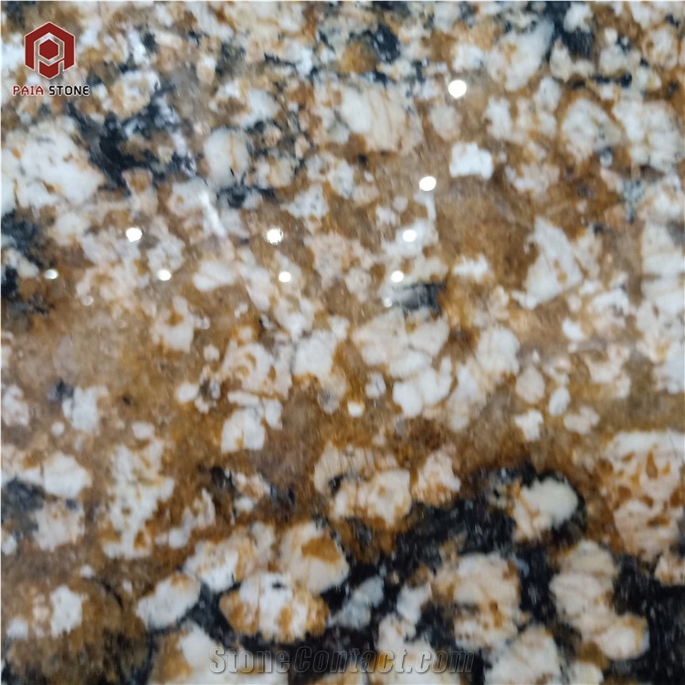 Golden With Black Granite Slabs For Wall And Floor