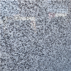 Ivory White Granite Slabs for Commercial Building