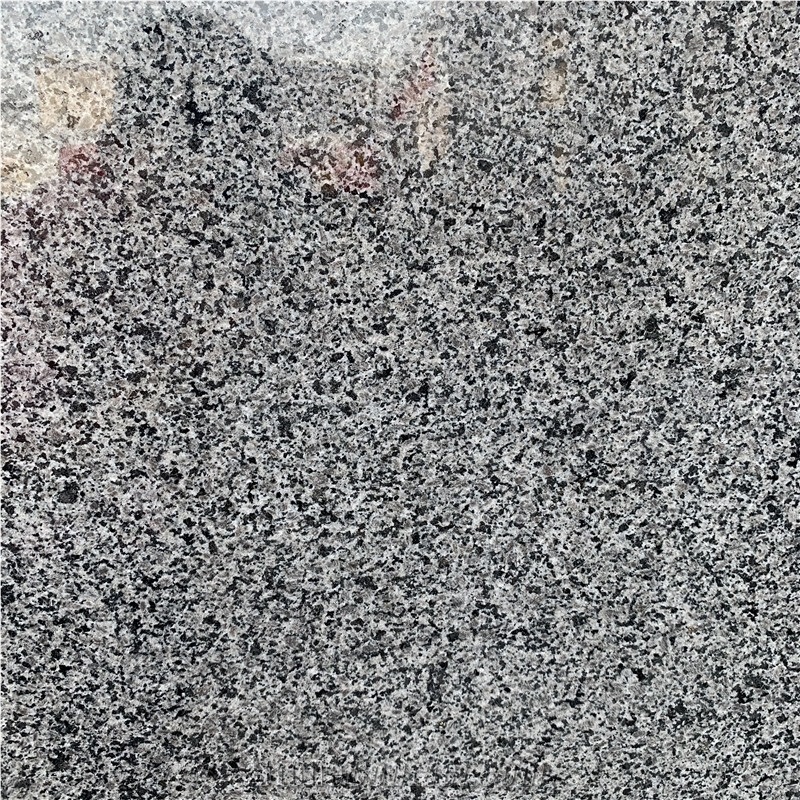 New G654 Granite Slab for Outdoor Paving Stone