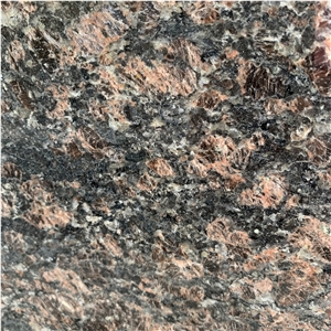 Popular Polished Tan Brown Stone Type Granite