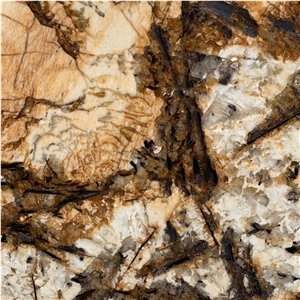 Splendour Gold Granite Slabs