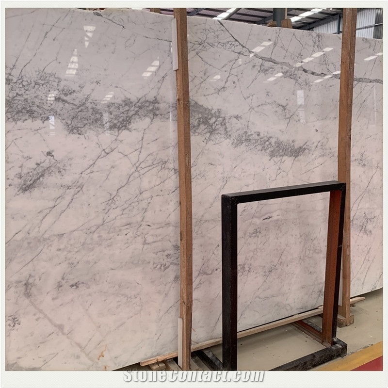 Statuario Venato Italian Statuary White Marble