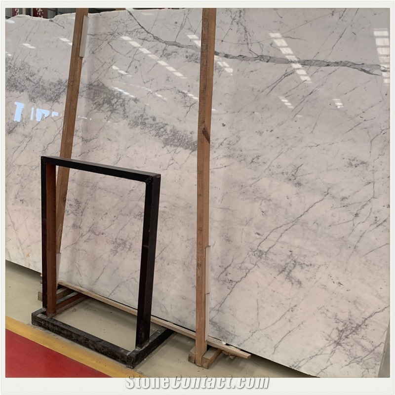 Statuario Venato Italian Statuary White Marble