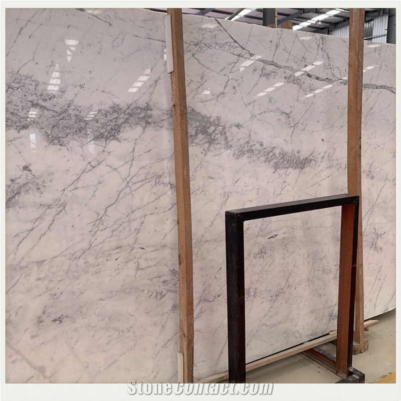 Statuario Venato Italian Statuary White Marble