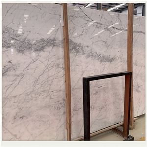 Statuario Venato Italian Statuary White Marble
