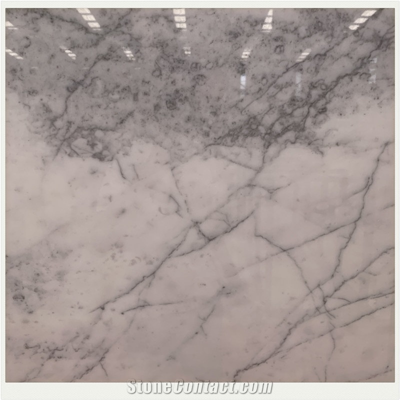 Statuario Venato Italian Statuary White Marble