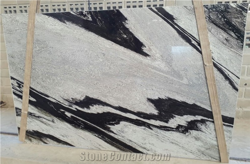 Harpia Gneiss Slabs