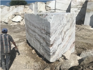 Calacatta Tarahumara Marble Blocks, Mexico White Marble