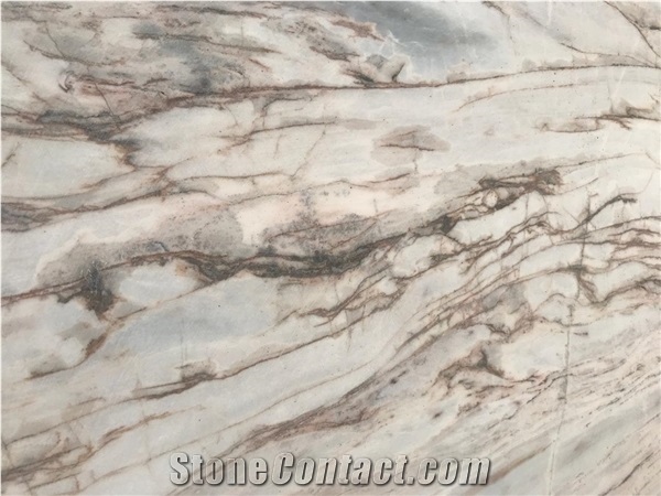 Calacatta Tarahumara Marble Blocks, Mexico White Marble