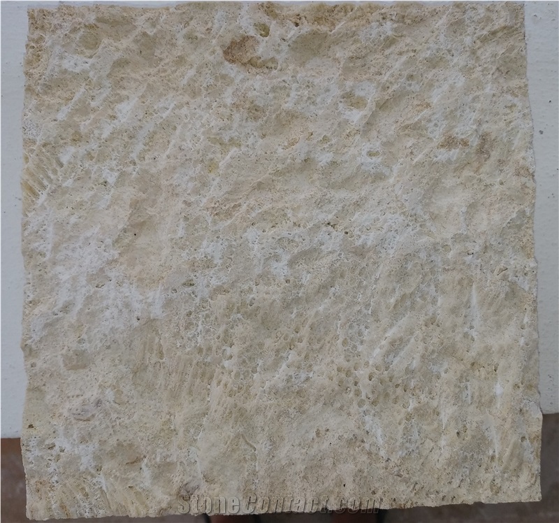 Bush Hammered White Coral Stone