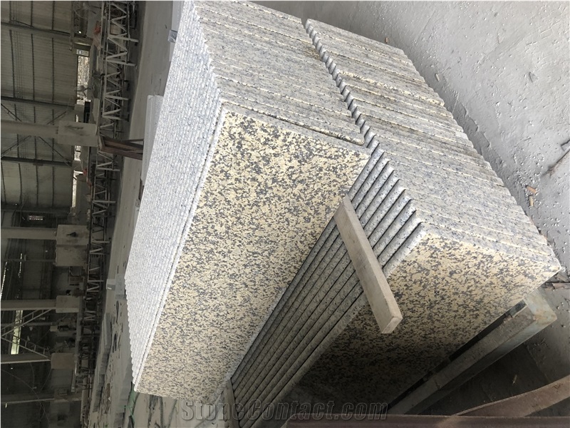 China Chrysanthemum Yellow Granite Slabs Tiles