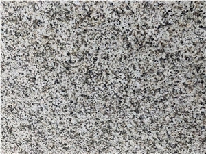 Jiangxi Green Granite Slabs Tiles For Flooring