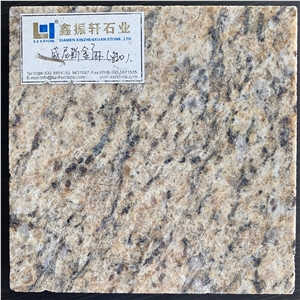 New Venetian Gold Granite Fujian Granite Slab&Tile New Venetian Gold Granite Fujian Granite Slab&Tile