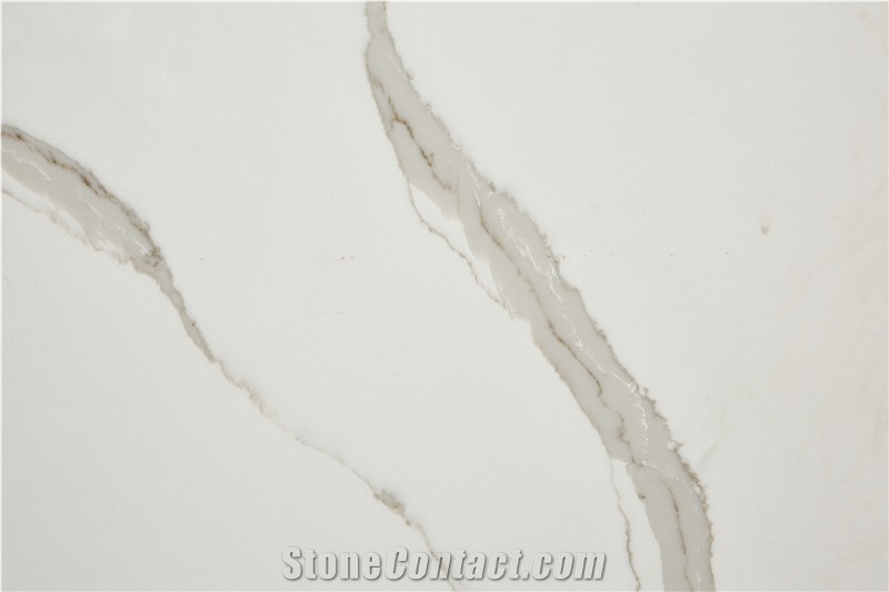 Calacatta Mora Quartz Slabs