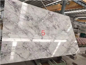 Super White Calacatta Grey Quartzite Slab Tile