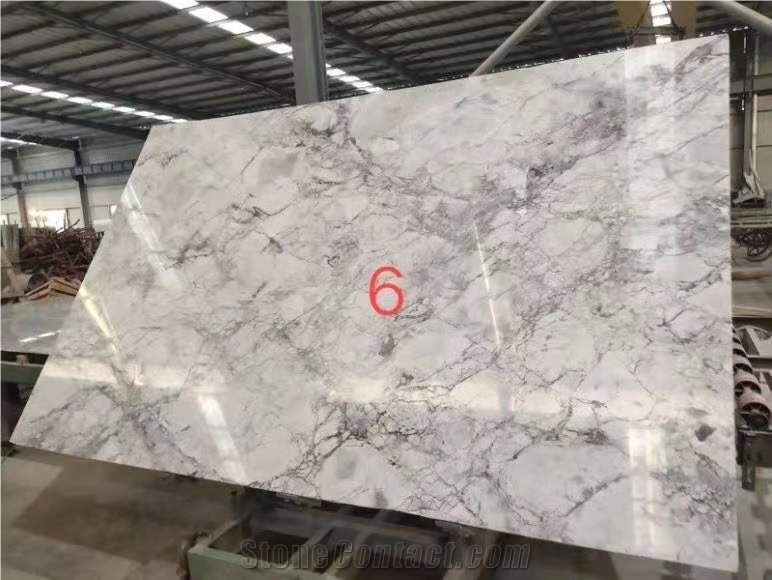 Super White Calacatta Grey Quartzite Slab Tile