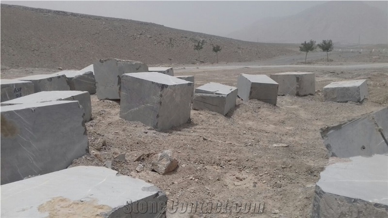 Ocean Fossil Marble Blocks