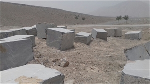 Ocean Fossil Marble Blocks