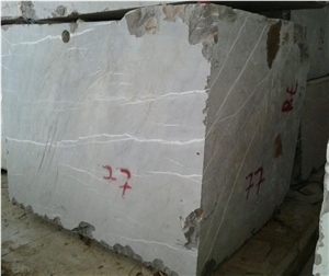 Ocean Fossil Marble Blocks