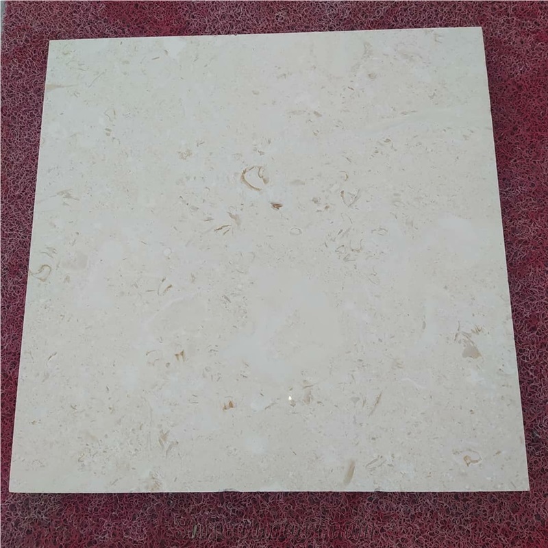 Shellstone Tiles 1.25x24"X24" Tumbled