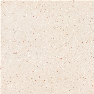 Honed Cream Terrazzo Tile Granite Look Floor Pattern Paving