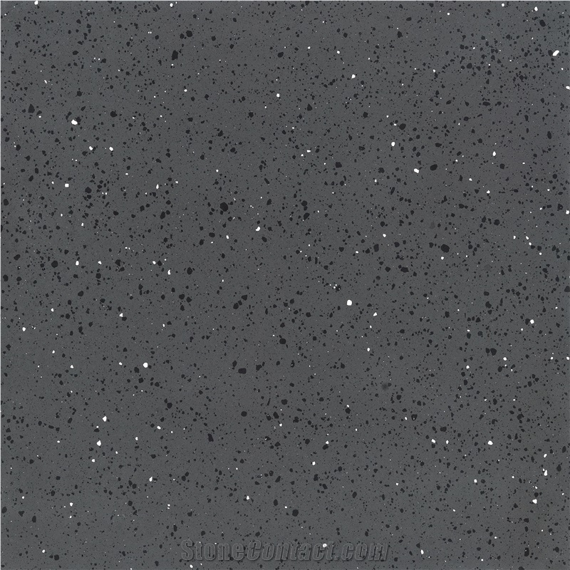 Honed Snow White in Black Commercial Project Floor Terrazzo Tile