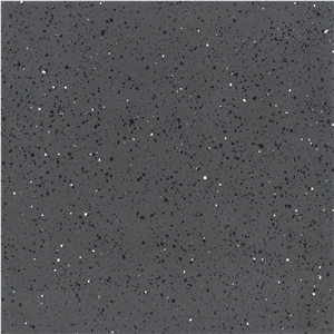 Honed Snow White in Black Commercial Project Floor Terrazzo Tile
