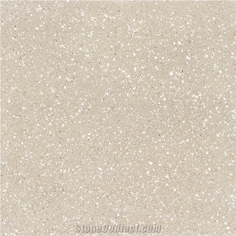 Terrazzo Stone Floor Tile Sample Show