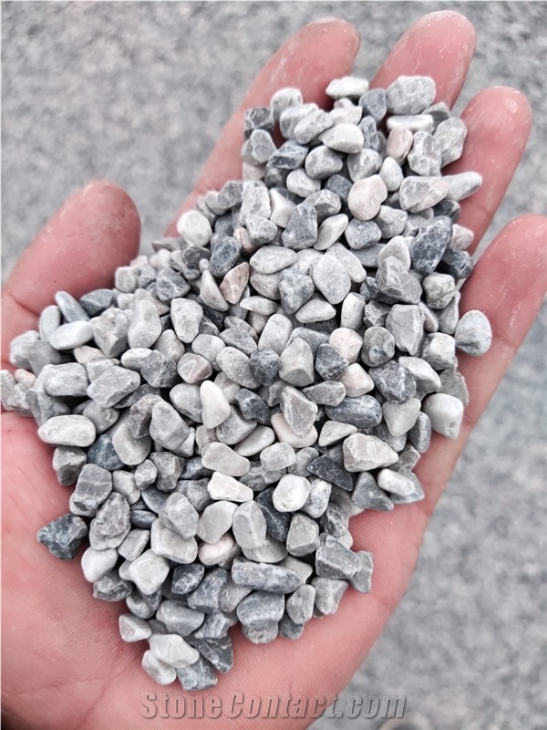 Grey Chip Pebble Stone from Viet Nam