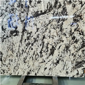 Snow Mountain Silver Fox Granite Slab