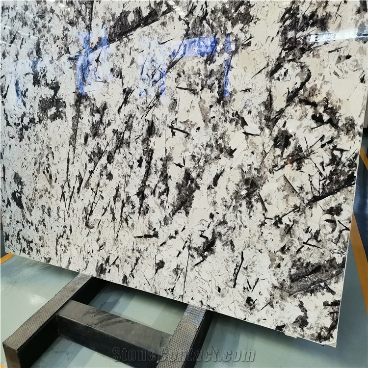 Snow Mountain Silver Fox Granite Slab
