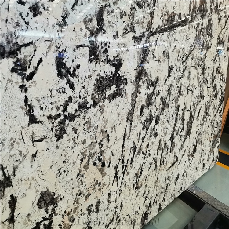 Snow Mountain Silver Fox Granite Slab