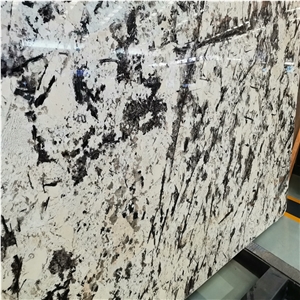Snow Mountain Silver Fox Granite Slab
