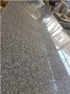 Gray Isis Grey Granite Slabs & Tiles