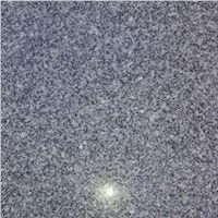 Gray Isis Grey Granite Slabs & Tiles