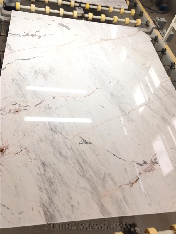 Dolomite Spider Marble- Bianco Dolomiti White Marble Slabs/Tiles