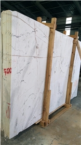 Dolomite Spider Marble- Bianco Dolomiti White Marble Slabs/Tiles