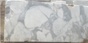 Calacatta Oro Block