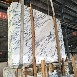 Arabescato Corchia Classico Marble Big Slab