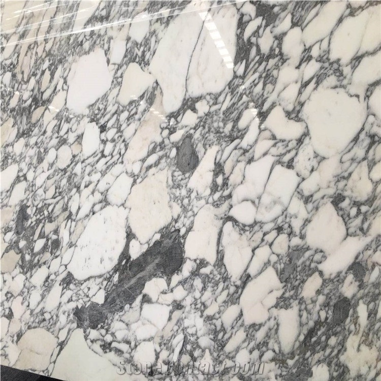 Arabescato Corchia Classico Marble Big Slab