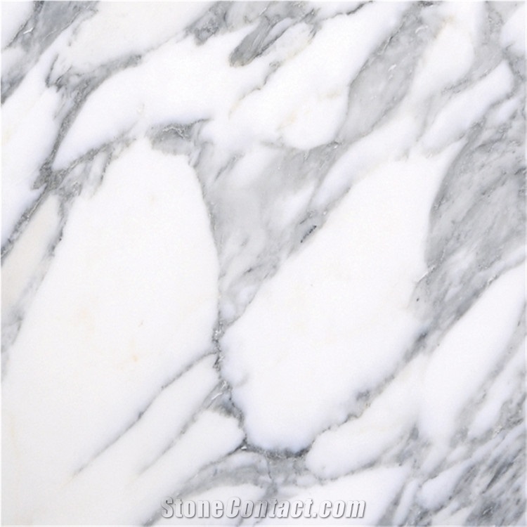 Arabescato Corchia Classico Marble Big Slab