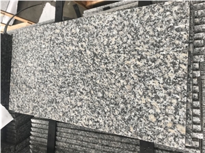 China Bianco Sardo Granite New G602 Granite Tiles China Bianco Sardo Granite New G602 Granite Tiles