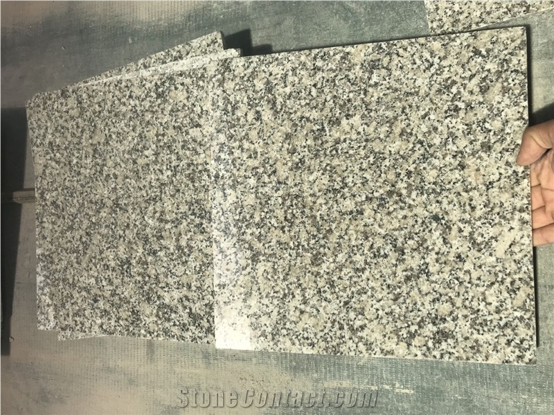 China Bianco Sardo Granite New G602 Granite Tiles