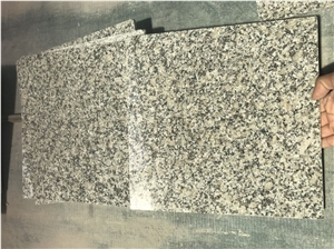 China Bianco Sardo Granite New G602 Granite Tiles