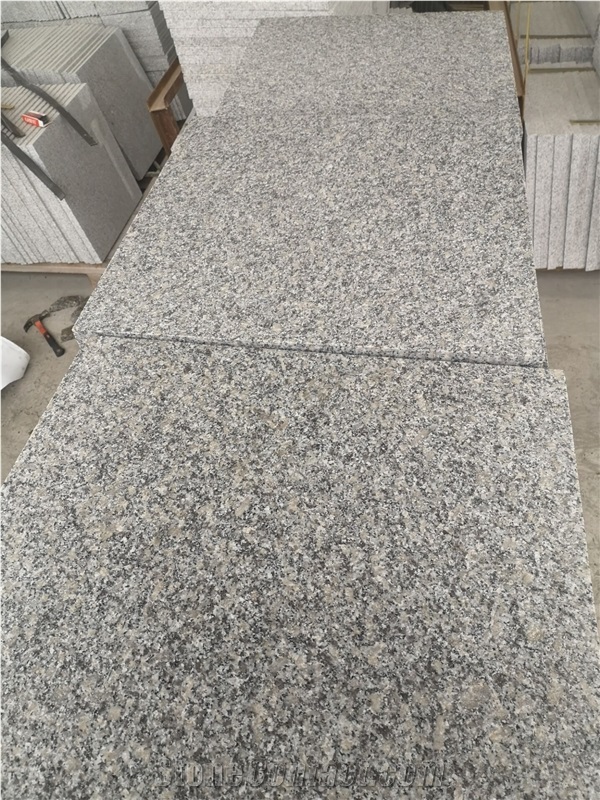 China Bianco Sardo Granite New G602 Granite Tiles
