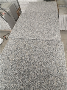 China Bianco Sardo Granite New G602 Granite Tiles